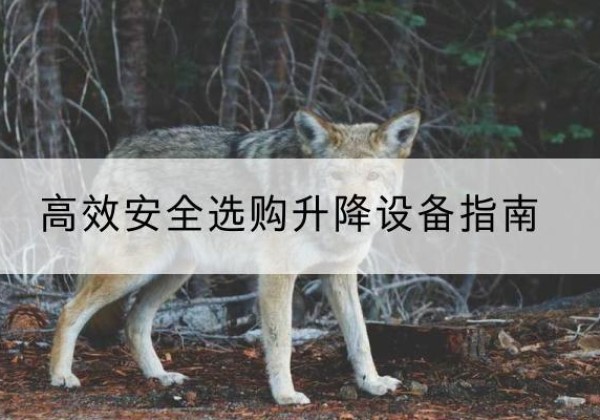 坊子升降货梯厂家推荐-*安全选购升降设备指南