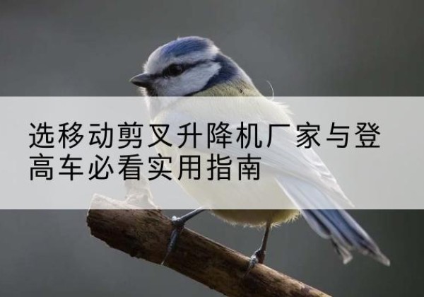 坊子电动升降机厂家-选移动剪叉升降机厂家与登高车必看实用指南