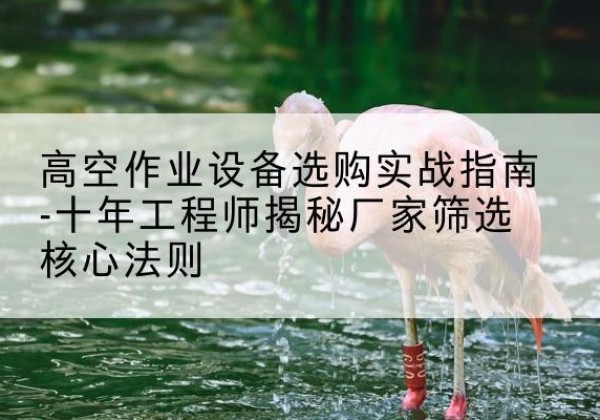 坊子剪叉式升降机厂家-高空作业设备选购实战指南-十年工程师揭秘厂家筛选核心法则